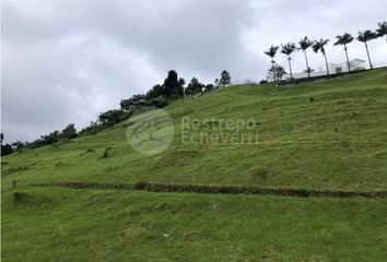 Lote de Terreno en  La Enea, Manizales