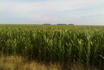 Terrenos en  Cañada Rosquín, Santa Fe