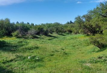 Terrenos en  Lácar, Neuquen