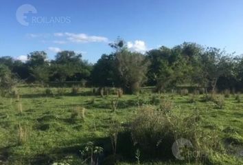 Terrenos en  San Luis Del Palmar, Corrientes