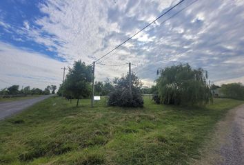 Terrenos en  Uribelarrea, Partido De Cañuelas