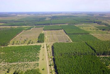 Terrenos en  Concordia, Entre Ríos