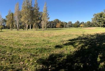 Terrenos en  La Unión, Partido De Ezeiza