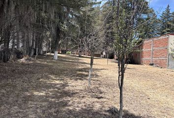 Lote de Terreno en  Calle Jacarandas 24, Las Delicias, Santa Rita Tlahuapan, Tlahuapan, Puebla, 74103, Mex