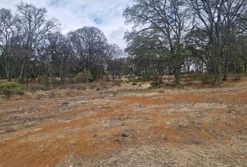 Lote de Terreno en  Carretera A San Martín Cachihuapán, San Martín Cachihuapan, Villa Del Carbón, México, 54333, Mex