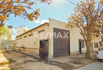 Galpónes/Bodegas en  Canal V, Neuquén