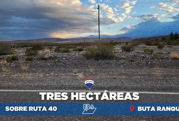 Terrenos en  Buta Ranquil, Neuquen