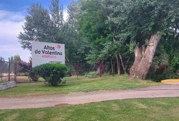 Terrenos en  Valentina Norte Rural, Neuquén