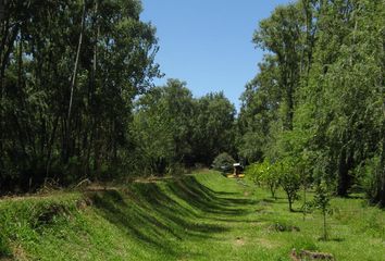 Terrenos en  Delta, Partido De Tigre