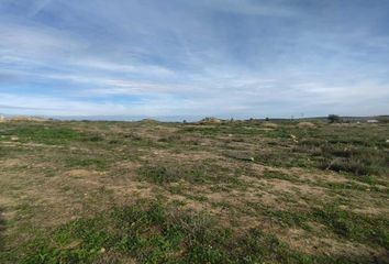 Terreno en  Olivares, Sevilla Provincia