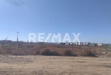 Local comercial en  Murgia, Ensenada