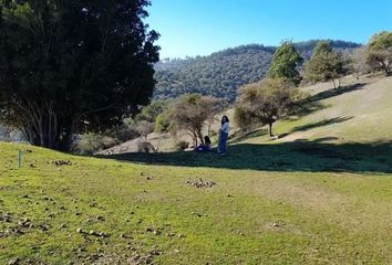 Parcela en  Chimbarongo, Colchagua