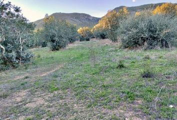 Chalet en  Xerta, Tarragona Provincia