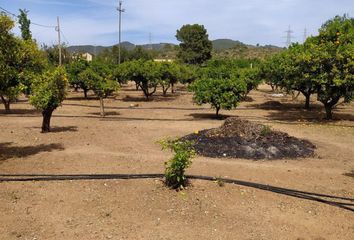 Terreno en  Tortosa, Tarragona Provincia