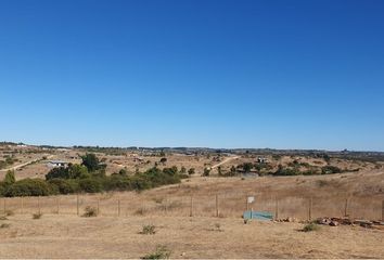 Parcela en  Litueche, Cardenal Caro