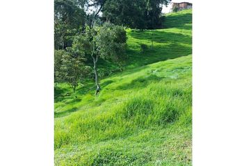 Lote de Terreno en  Bello, Antioquia