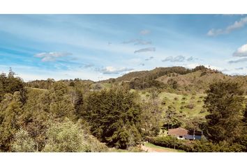 Lote de Terreno en  Calasanz, Medellín