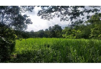 Lote de Terreno en  Palestina, Caldas