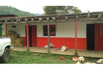 Villa-Quinta en  Pijao, Quindío