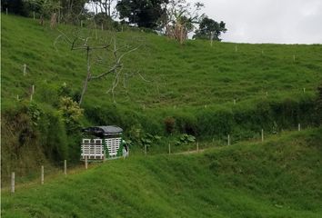 Villa-Quinta en  La India, Filandia