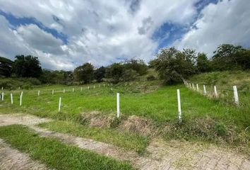 Lote de Terreno en  Urb. El Paraíso, Palmira