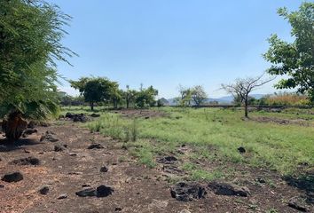 Lote de Terreno en  General Emiliano Zapata, Morelos