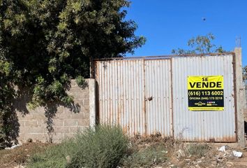 Lote de Terreno en  Calle Séptima, San Quintín, Las Escobas, San Quintín, Baja California, 22940, Mex