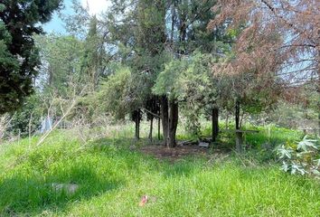 Lote de Terreno en  Barrio Norte, Atizapán De Zaragoza