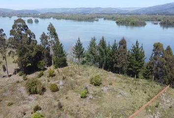 Parcela en  Hualqui, Concepción