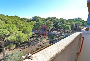 Apartamento en  Guardamar Del Segura, Alicante Provincia