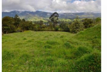 Lote de Terreno en  Guasca, Cundinamarca