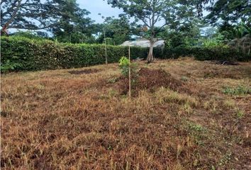 Lote de Terreno en  Santa Cruz De Mompox, Bolívar