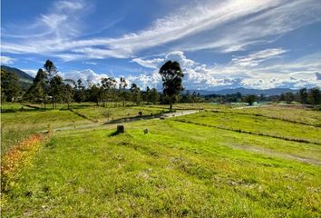 Lote de Terreno en  El Carmen De Viboral, Antioquia