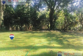 Lote de Terreno en  Rancho Tetela, Cuernavaca, Cuernavaca, Morelos