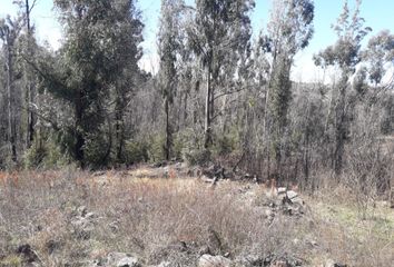 Terrenos en  Villa Yacanto, Córdoba