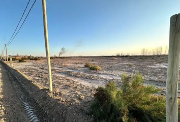 Terrenos en  Costa De Araujo, Mendoza