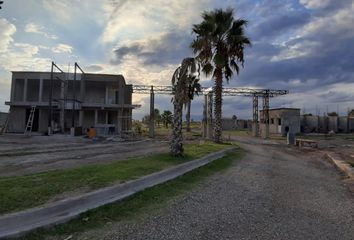 Terrenos en  Los Corralitos, Mendoza