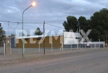 Galpónes/Bodegas en  Catriel, Río Negro