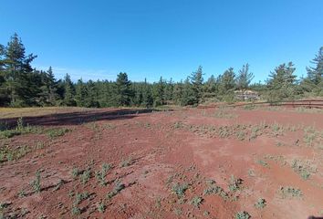 Parcela en  Pichilemu, Cardenal Caro