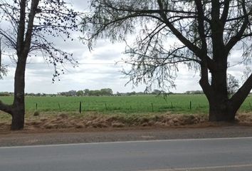 Terrenos en  Felicia, Santa Fe