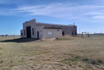 Galpónes/Bodegas en  Saavedra, Saavedra, Partido De Saavedra