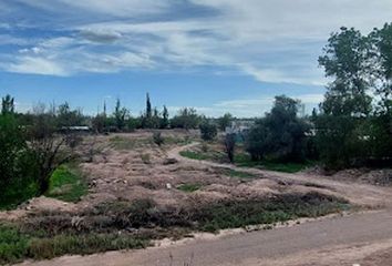 Terrenos en  Luján De Cuyo, Mendoza