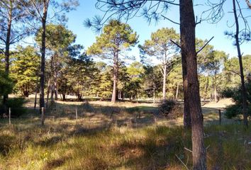 Terrenos en  Otro, Pinamar