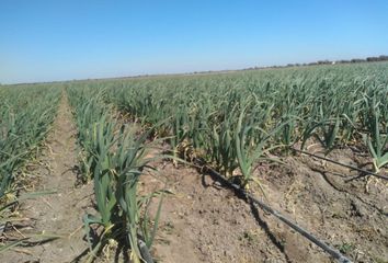 Terrenos en  Santa Rosa, Mendoza