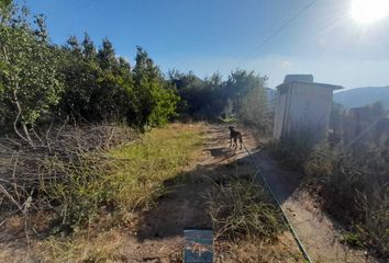 Parcela en  Hijuelas, Quillota