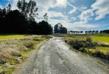 Parcela en  Llanquihue, Llanquihue