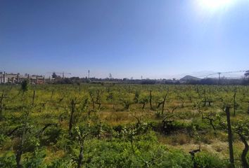 Parcela en  San Bernardo, Maipo