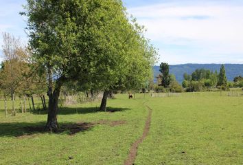 Parcela en  Puyehue, Osorno