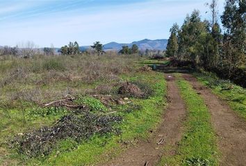 Parcela en  San Clemente, Talca