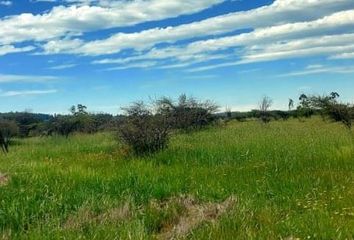 Parcela en  Litueche, Cardenal Caro